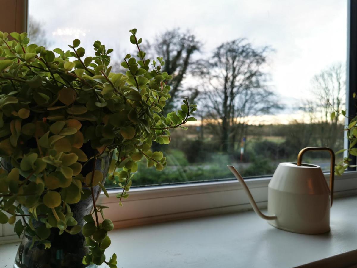 Redbrook Farm Bnb - Gateway To The New Forest Fordingbridge Zewnętrze zdjęcie