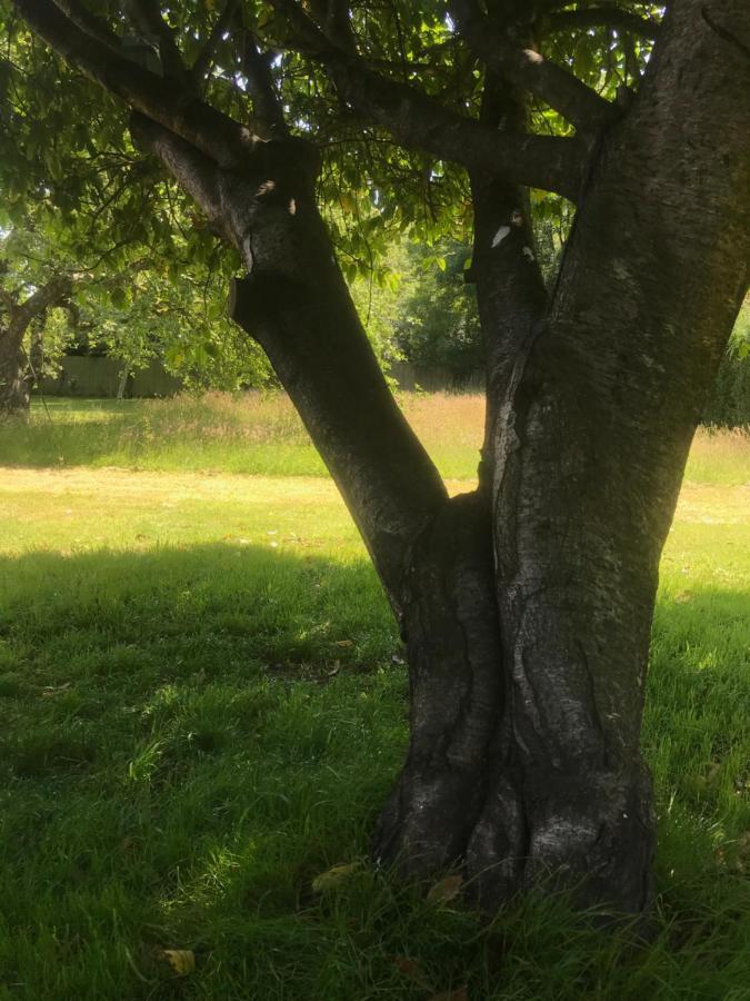 Redbrook Farm Bnb - Gateway To The New Forest Fordingbridge Zewnętrze zdjęcie