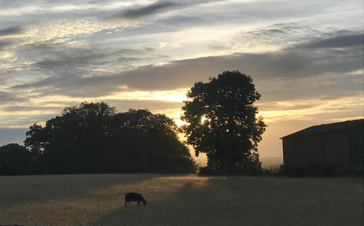 Redbrook Farm Bnb - Gateway To The New Forest Fordingbridge Zewnętrze zdjęcie