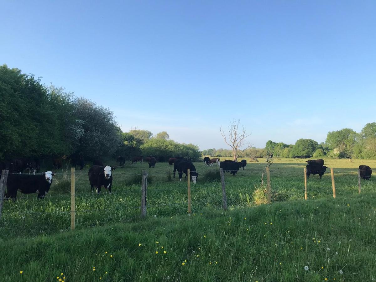 Redbrook Farm Bnb - Gateway To The New Forest Fordingbridge Zewnętrze zdjęcie