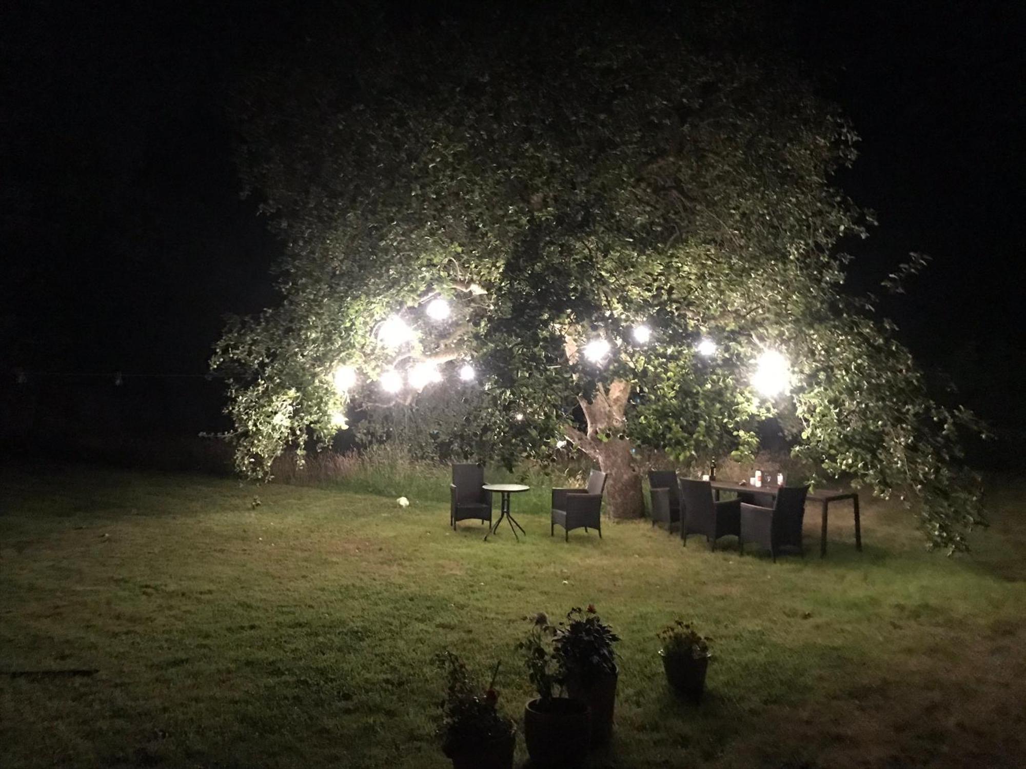 Redbrook Farm Bnb - Gateway To The New Forest Fordingbridge Zewnętrze zdjęcie