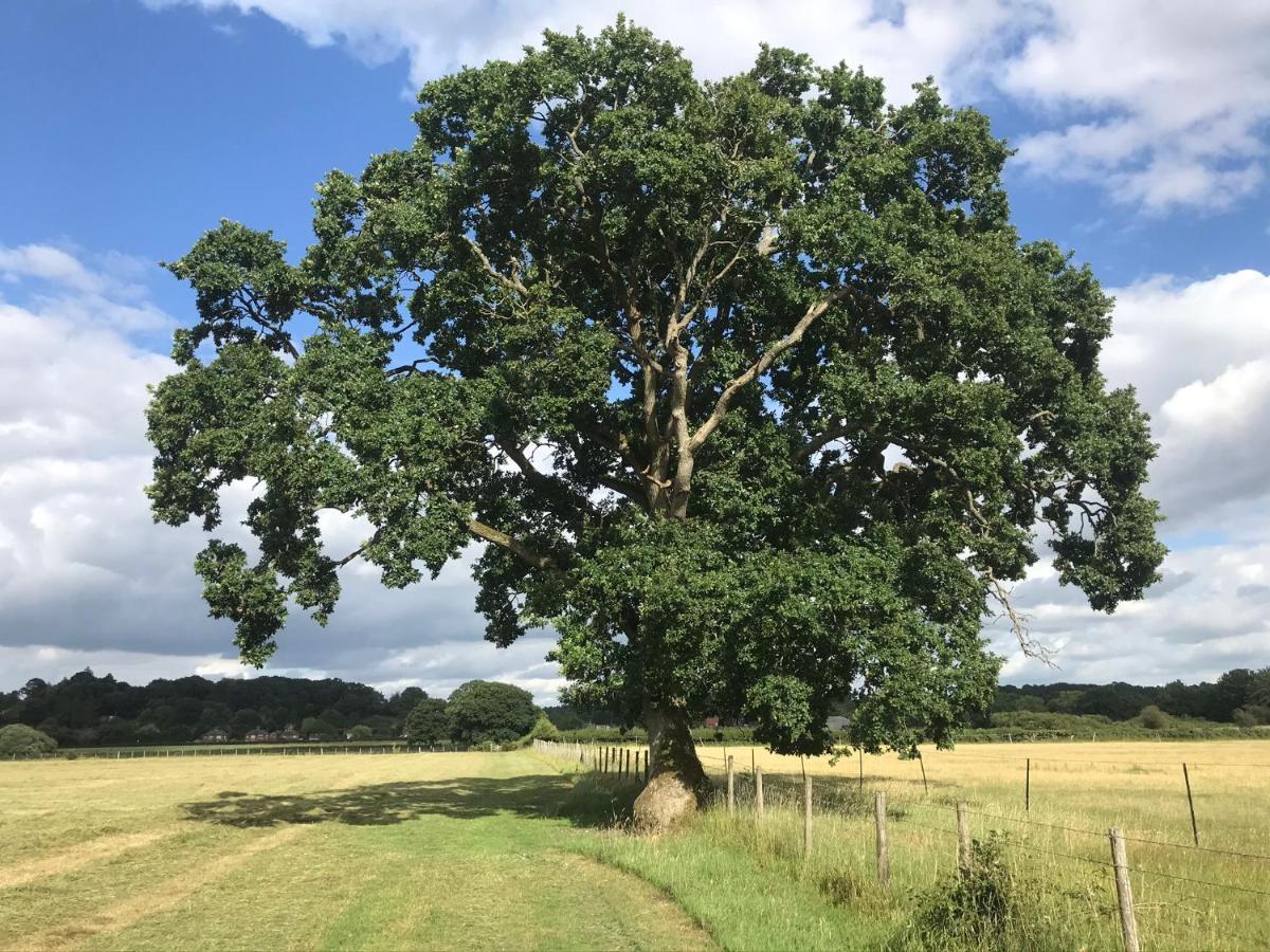 Redbrook Farm Bnb - Gateway To The New Forest Fordingbridge Zewnętrze zdjęcie