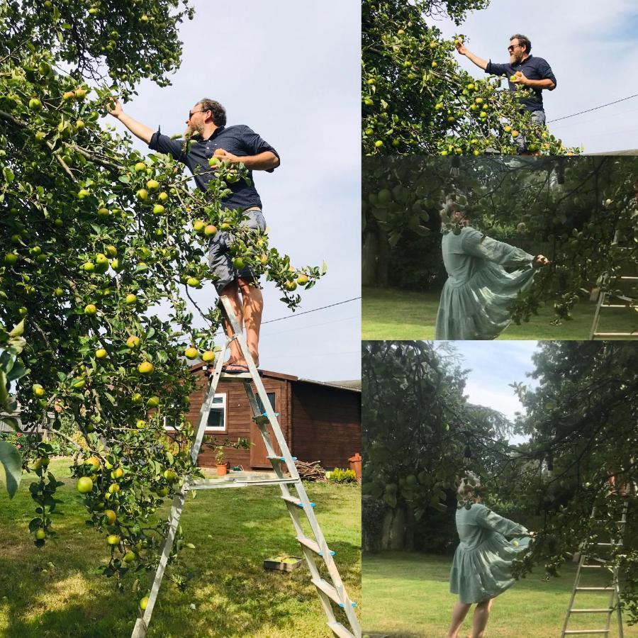 Redbrook Farm Bnb - Gateway To The New Forest Fordingbridge Zewnętrze zdjęcie