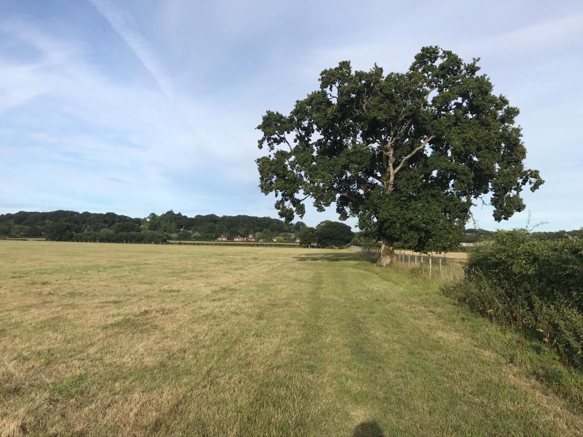 Redbrook Farm Bnb - Gateway To The New Forest Fordingbridge Zewnętrze zdjęcie