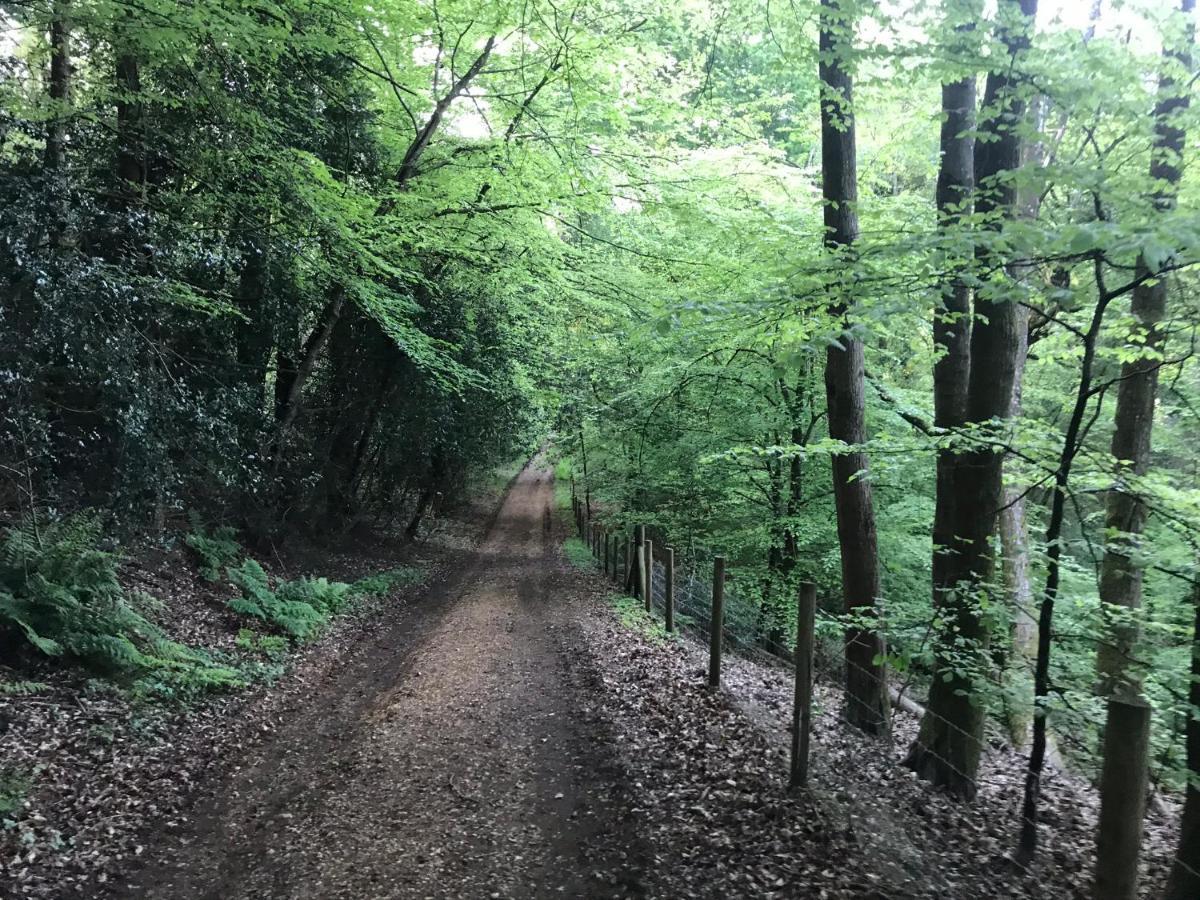 Redbrook Farm Bnb - Gateway To The New Forest Fordingbridge Zewnętrze zdjęcie