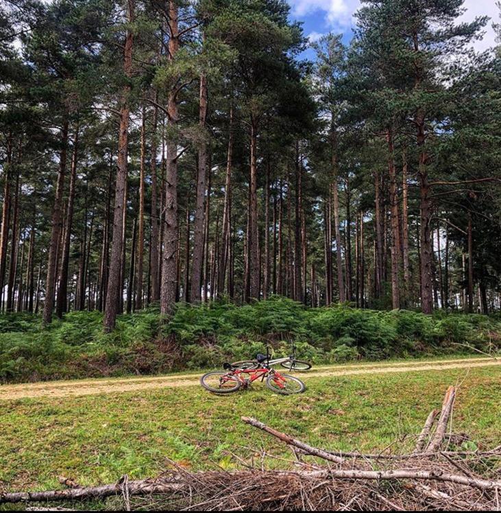 Redbrook Farm Bnb - Gateway To The New Forest Fordingbridge Zewnętrze zdjęcie