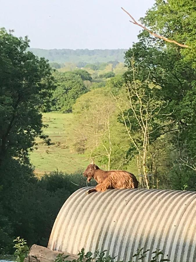 Redbrook Farm Bnb - Gateway To The New Forest Fordingbridge Zewnętrze zdjęcie