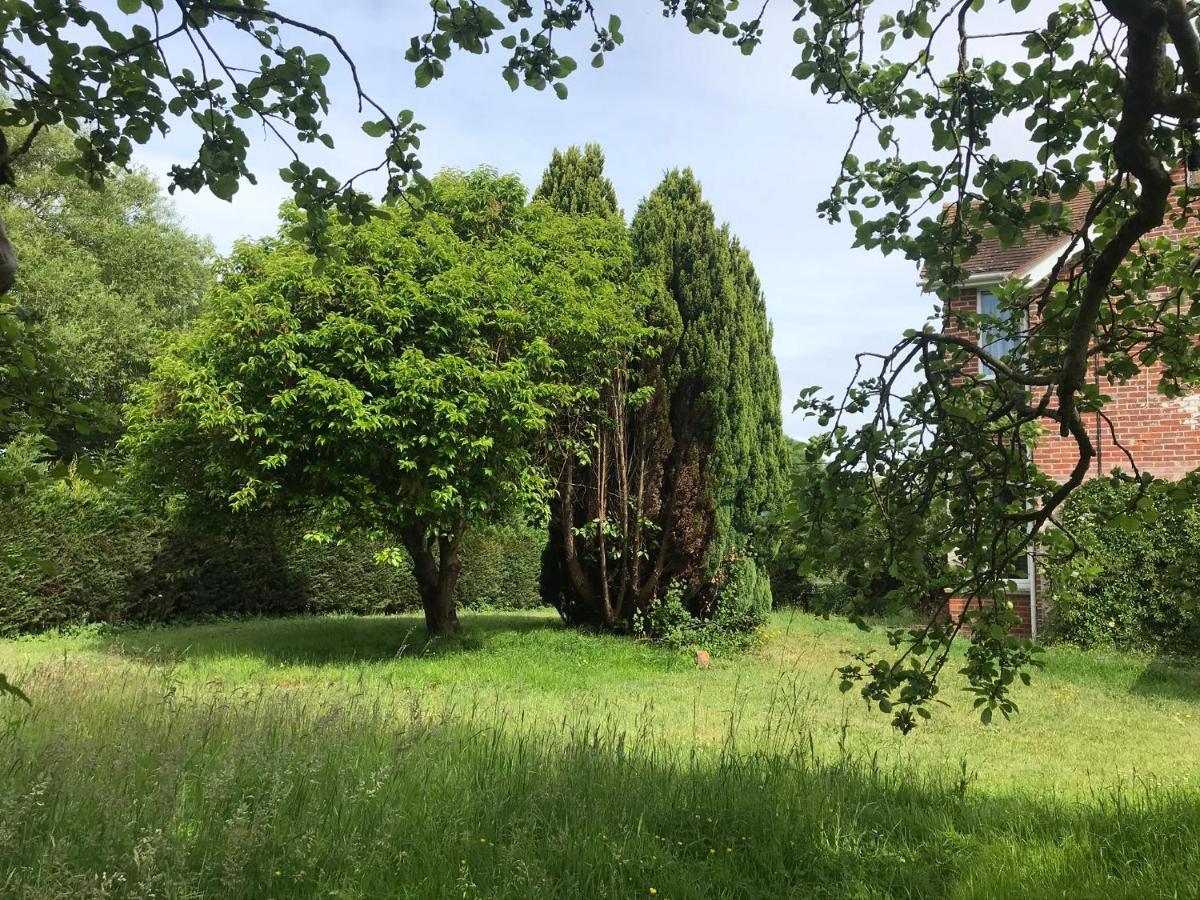 Redbrook Farm Bnb - Gateway To The New Forest Fordingbridge Zewnętrze zdjęcie